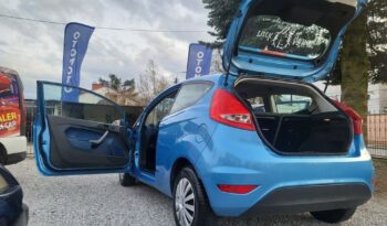 Ford Fiesta full
