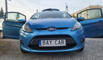 Ford Fiesta full