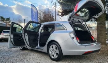 Opel Insignia full