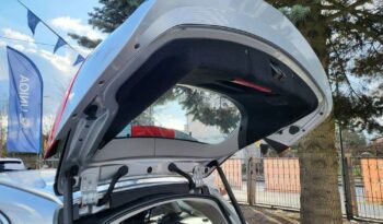 Opel Insignia full