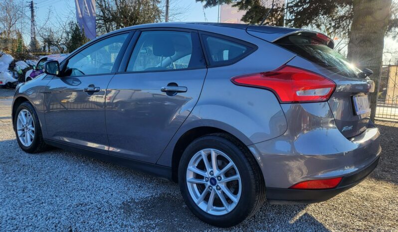 Ford Focus 1.6 125 KM 100% Przebieg Dekra Faktury Z Niemiec Gwarancja Zapraszamy Mk3 (2010-2018) full