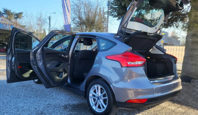 Ford Focus 1.6 125 KM 100% Przebieg Dekra Faktury Z Niemiec Gwarancja Zapraszamy Mk3 (2010-2018) full